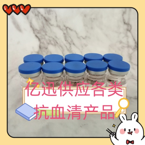 兔抗綿羊紅細胞（溶血素） 補體結合、溶血空斑實驗用