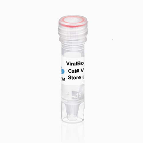 ALSTEM●VB100●ViralBoost Reagent 病毒增強試劑【產品說明書】