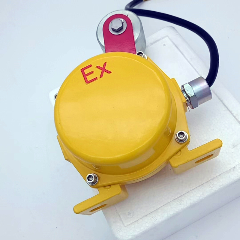 JG50YG82\IP65防爆料流開關采用負荷式檢測