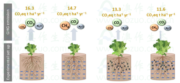 文献分享：地下水位变化对泥炭地温室气体排放的影响
