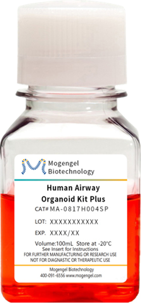 -20℃的守护：解锁类器官培养基的“冻龄”密码
