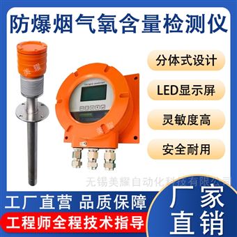 防爆氧化鋯分析儀危險廢棄焚燒爐氧氣檢測儀