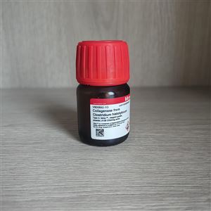 Sigma：梭菌肽酶 A，V900892-1G