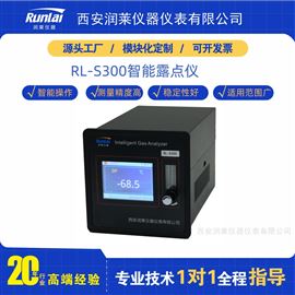 RL-S300在线露点仪生产厂家