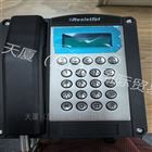 防爆電話FHF11286101/ExeibIIC EX IP66