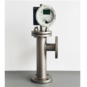 SHFDN50底进侧出浮子流量计隔爆型