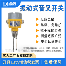AC220V/DC24V音叉液位开关 防腐防爆