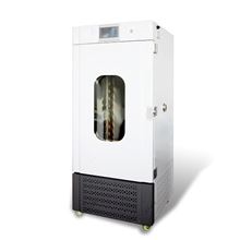 DQZRQ系列智能人工气候箱（强光）