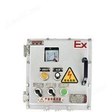 防爆变频控制箱 电机调速专用
