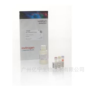 Q10212Qubit ssDNA 檢測試劑盒