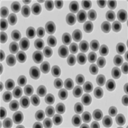 二氧化硅包覆银纳米颗粒