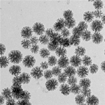 樹枝狀介孔二氧化硅納米顆粒