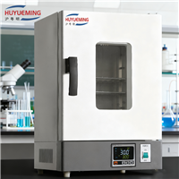 新苗DHG-9623BS-Ⅲ电热高温鼓风干燥箱500℃