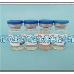 羊抗人B因子免疫血清