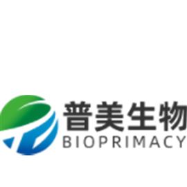 Bradford蛋白定量試劑盒（Western Blot）