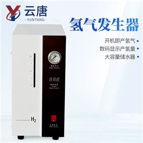 YT-H-300T冷干式高纯氢气发生器