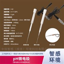微米级尖端微电极分析系统耗材pH电极