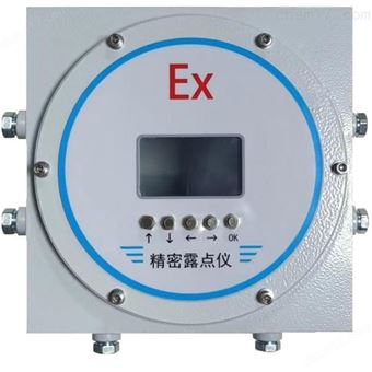 在線精密露點儀