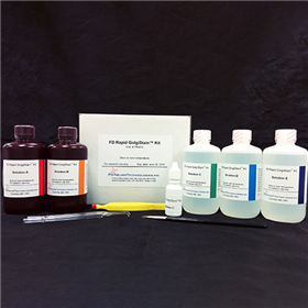 Rapid GolgiStain™ Kit中文說明書