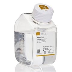 12604021Thermo賽默飛Express酶 無酚紅試劑12604013