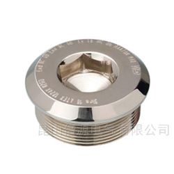 CQA1300YXN Stopping plugRAXTON系列 CQA1200YXN铜镀镍堵头