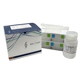 水稻基因組DNA純化試劑盒