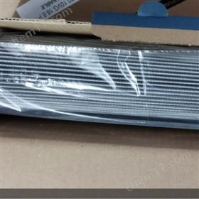 EATON(Internormen) 濾芯 01.NL 338889