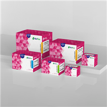 MagaBio plus病毒DNA/RNA純化試劑盒Ⅱ