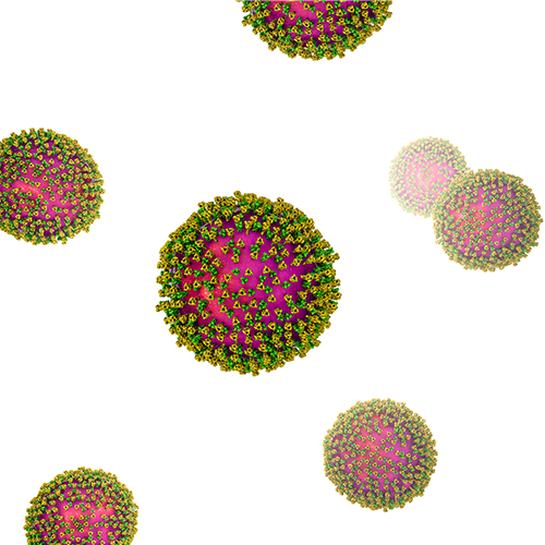 Rubella Antigen (BR2S)（風疹病毒抗原）