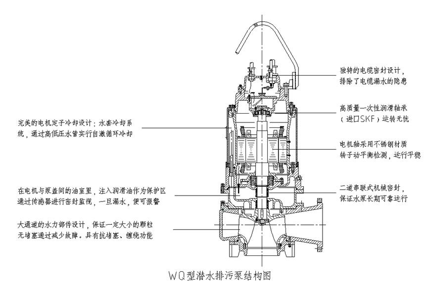 杜安环保WQ1000-9.5-45潜污泵自耦安装