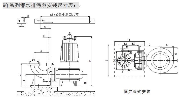 杜安环保WQ1000-9.5-45潜污泵自耦安装