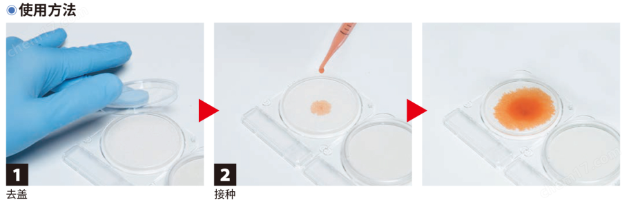 微生物快速測試片—腸球菌屬