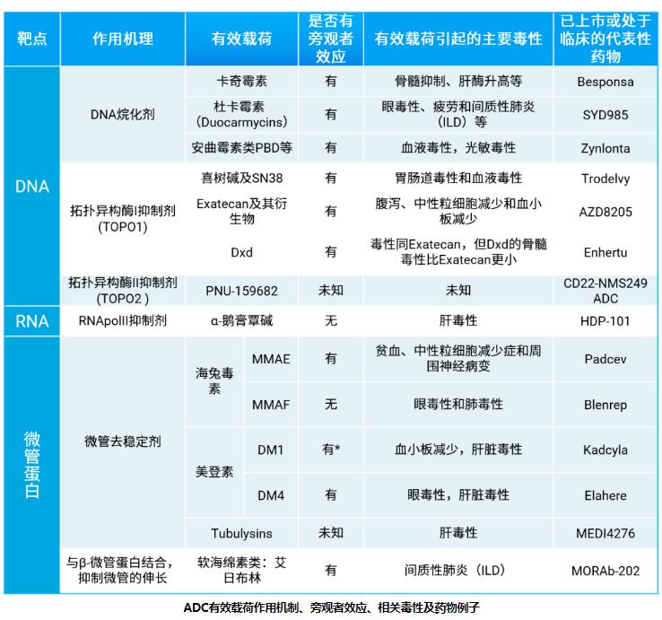 ADC药物之Payload简介