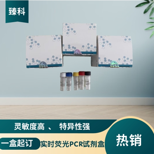 馬媾疫錐蟲PCR檢測(cè)試劑盒說(shuō)明書