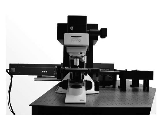 RTS系列激光共聚焦显微拉曼光谱仪：高分辨无损分析的精密利器