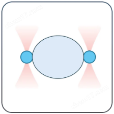 免校準(zhǔn)生物型光鑷-SENSOCELL
