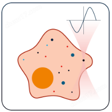 免校準(zhǔn)生物型光鑷-SENSOCELL