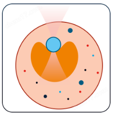 免校準(zhǔn)生物型光鑷-SENSOCELL