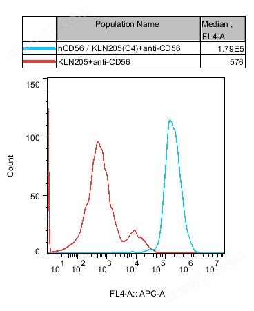 hCD56/KLN205