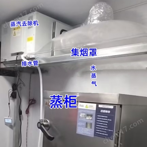 蒸飯車 蒸汽去除機(jī) 應(yīng)用案例.jpg 500.jpg