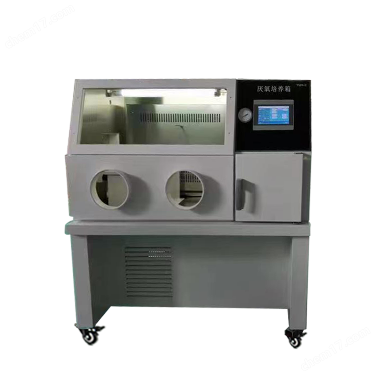 未標題-2.png 真空厭氧手套箱氧濃度探頭