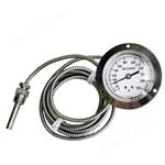 蒸汽式溫度計(jì)V20，V35，V45