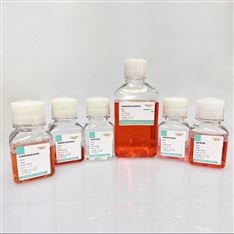 類器官培養試劑盒（肝癌、結腸癌、腎癌）