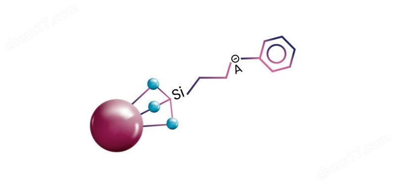 Zodiac HST P1 混合模式液相色譜柱