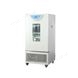 一恒低溫培養箱