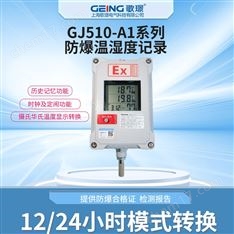 防爆溫濕度記錄儀GJ510