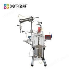 巖征儀器 智能高壓反應釜