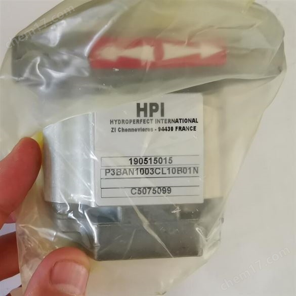 HPI 齒輪泵 P3BAN1003CL10B01N