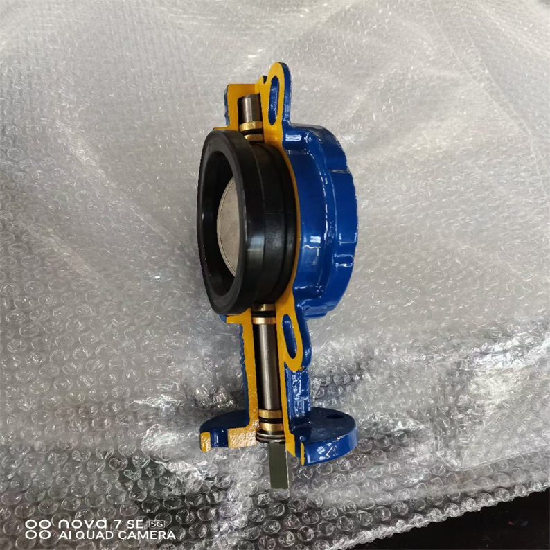 D71F全襯對夾蝶閥00.jpg