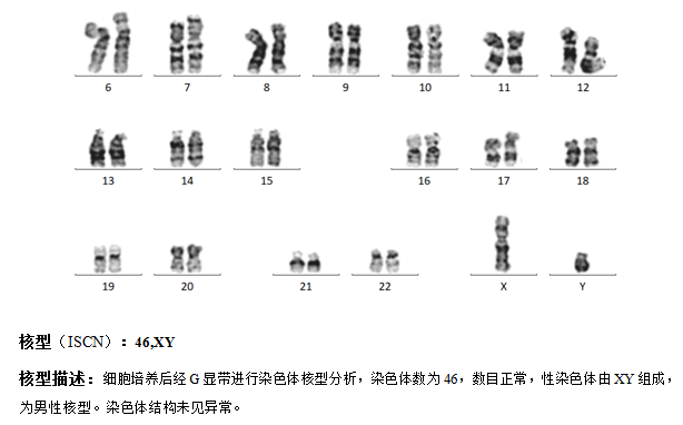 图片1.png